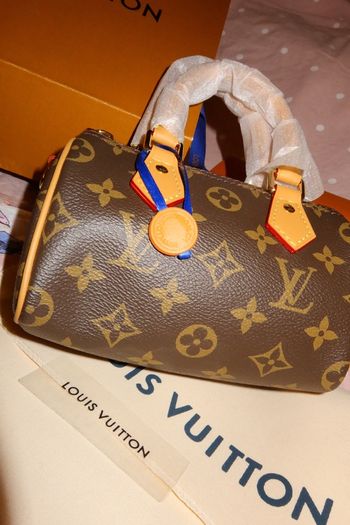 Louis Vuitton Speedy Bag