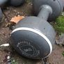 Free Weights Image 5
