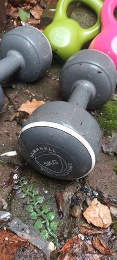 Free Weights