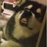 higuy_106