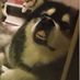 higuy_106