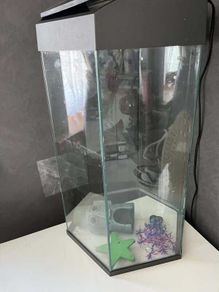 Fish Tank + Aquarium ornaments