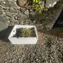 3 belfast sinks and antique stone trough Image 3