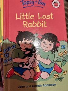 Topsy and Tim ; Ladybird  (271)