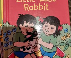 Topsy and Tim ; Ladybird  (271)