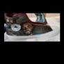 Wynonna Earp signed and custom converse Image 4