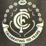 Carlton's official 150th anniversary was celebrated in 2014, during which they wore a commemorative guernsey that featured a special anniversary crest and was manufactured by Nike. Image 3