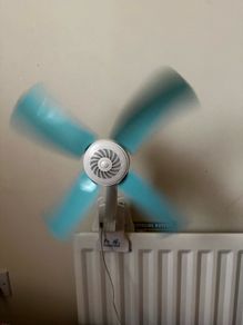 fan