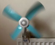 fan
