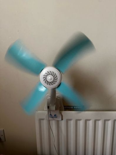 fan