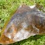 Natural Golden Andara Crystal 5,103 kg Image 6
