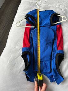 Dog surgery suit