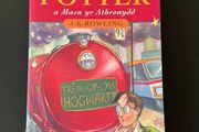 Harry Potter and the Philosophers Stone Welsh Edition Paperback