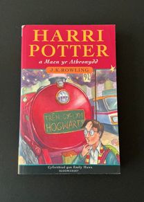Harry Potter and the Philosophers Stone Welsh Edition Paperback