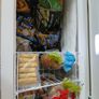 Freezer Image 2