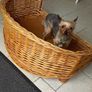 Dog Basket Image 3