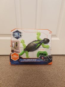 Wall and Floor Crawler Gecko