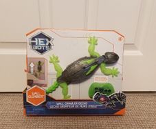 Wall and Floor Crawler Gecko