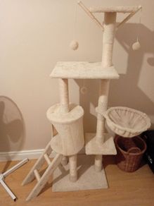 cat tree