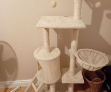 cat tree