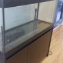 fluval 200 led fish tank Image 3