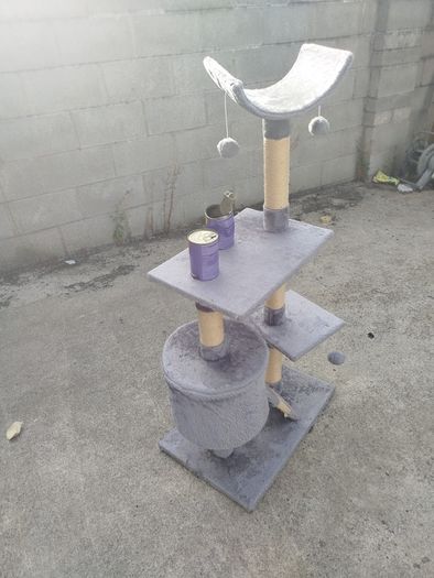 cat accessories for sale