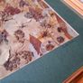 Original Irish Pressed Flower Art by Annette Preston Framed Image 5