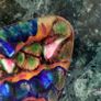 Mid-century enamel on copper Pin tray/Ring dish Image 2