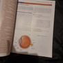 Pathophysiology: A Clinical Approach Image 2