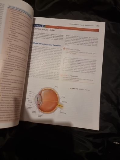 Pathophysiology: A Clinical Approach