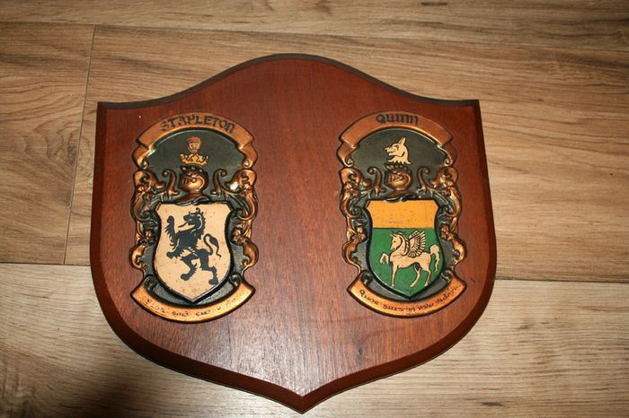 2 Personalized Double Irish Coat of Arms Knight Shield Plaque