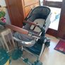 Buggy Image 8