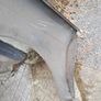 Mk2 escort front wing Image 3
