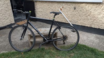 Trek FX1 - Large