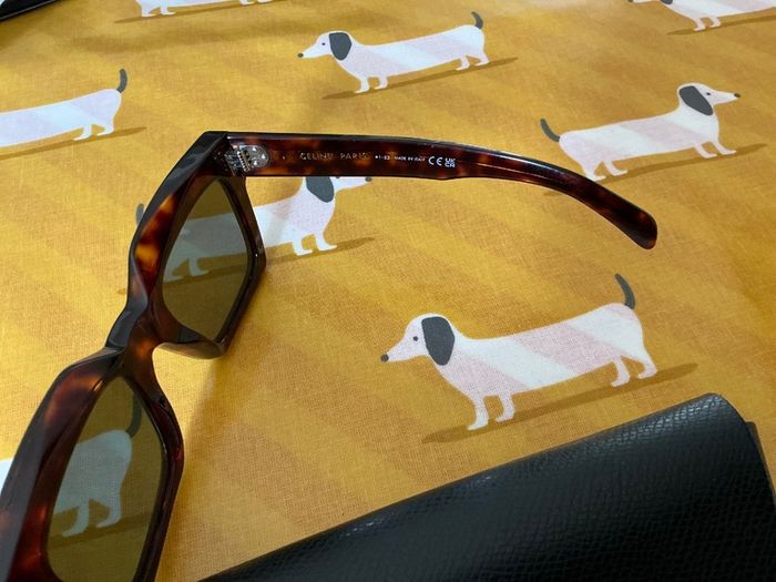 Authentic Celine Kate Brown Sunglasses