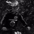 Jonathan MTB