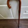 Walking stick Image 2