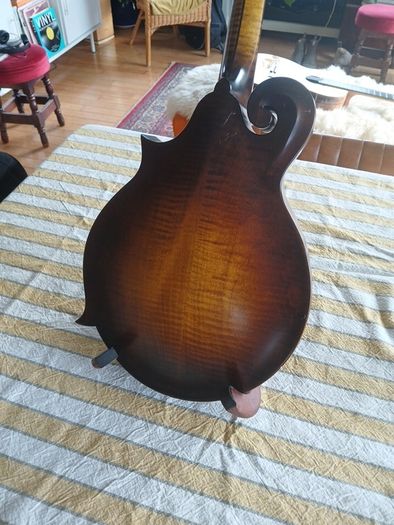 Coostar F5 Mandolin