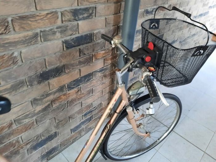 retro ladies bike