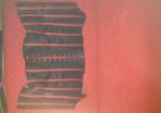 Gothic corset
