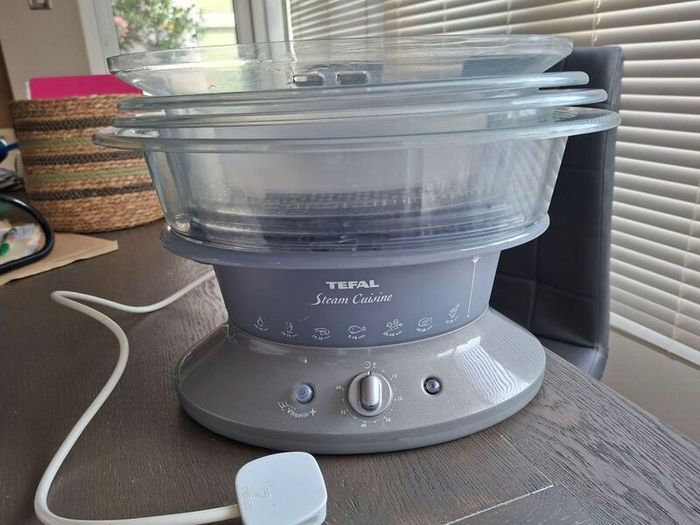 Tefal Steamer