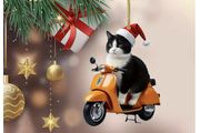 Christmas Decoration