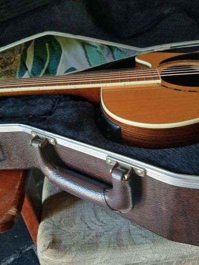 Takamine guitar