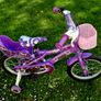 child bicycle Image 2