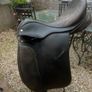 saddle Image 2