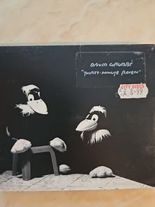 David Grubbs CD - Thirty Minute Raven