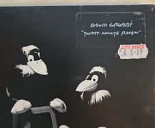 David Grubbs CD - Thirty Minute Raven