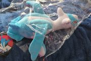Pokemon Latios L 30cm plush toy