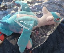 Pokemon Latios L 30cm plush toy