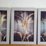 3 pictures with frame 53x72 cm each Image 2